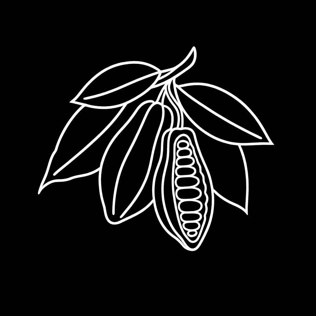 Cacao Beans