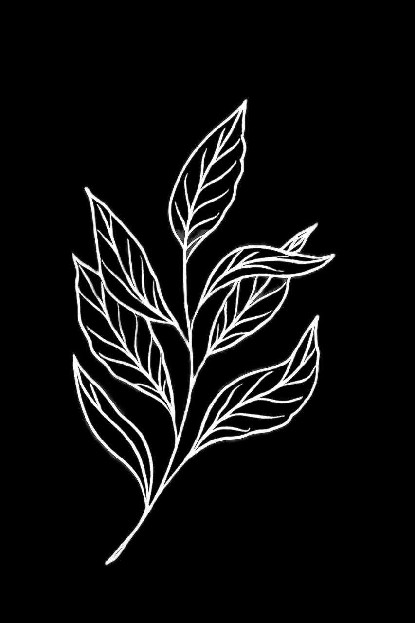 Tea Leaves